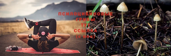 ALPHA-PVP Покров