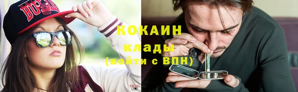 стафф Покачи