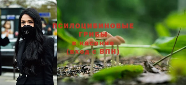 шишки Переславль-Залесский