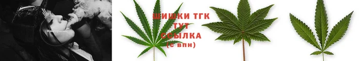 стафф Покачи