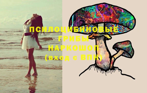 сатива Лабытнанги